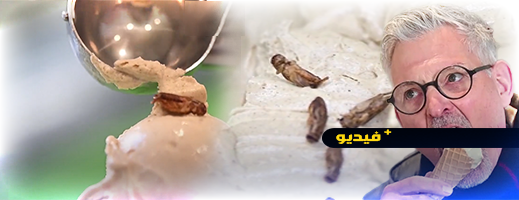 فيديو.. متجر ألماني يصنع أول آيس كريم بنكهة "سراق الزيت" في العالم