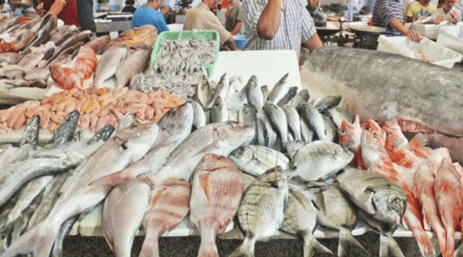 مسؤولة إسبانية: التصريح بتمرير الأسماك المغربية إلى مليلية ينتظر تكييف مرافق التفتيش على الحدود