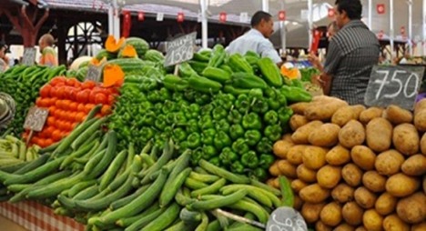 حقوقي يكشف عجز مخطط المغرب الأخضر ويدعو لمحاسبة المسؤولين حقوقي يكشف عجز مخطط المغرب الأخضر ويدعو لمحاسبة المسؤولين