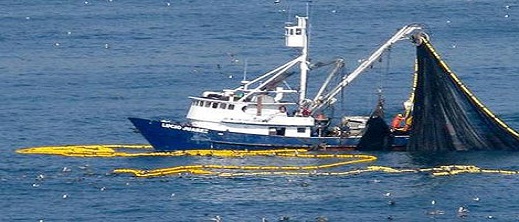 مسؤول حكومي.. المغرب مستعد لأي احتمال بخصوص اتفاق الصيد مع الاتحاد الأوروبي مسؤول حكومي.. المغرب مستعد لأي احتمال بخصوص اتفاق الصيد مع الاتحاد الأوروبي