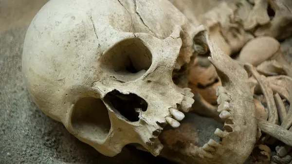 صور مذهلة.. إعادة بناء وجه رجل عاش قبل زهاء 35 ألف سنة! صور مذهلة.. إعادة بناء وجه رجل عاش قبل زهاء 35 ألف سنة!