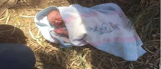 صدمة بعد العثور على رضيعة حديثة الولادة متخلى عنها في حديقة صدمة بعد العثور على رضيعة حديثة الولادة متخلى عنها في حديقة