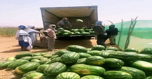 أنهك الفرشة المائية.. "الدلاح" المغربي ينقل إلى موريتانيا وينتظر وصوله إلى أوروبا أنهك الفرشة المائية.. "الدلاح" المغربي ينقل إلى موريتانيا وينتظر وصوله إلى أوروبا