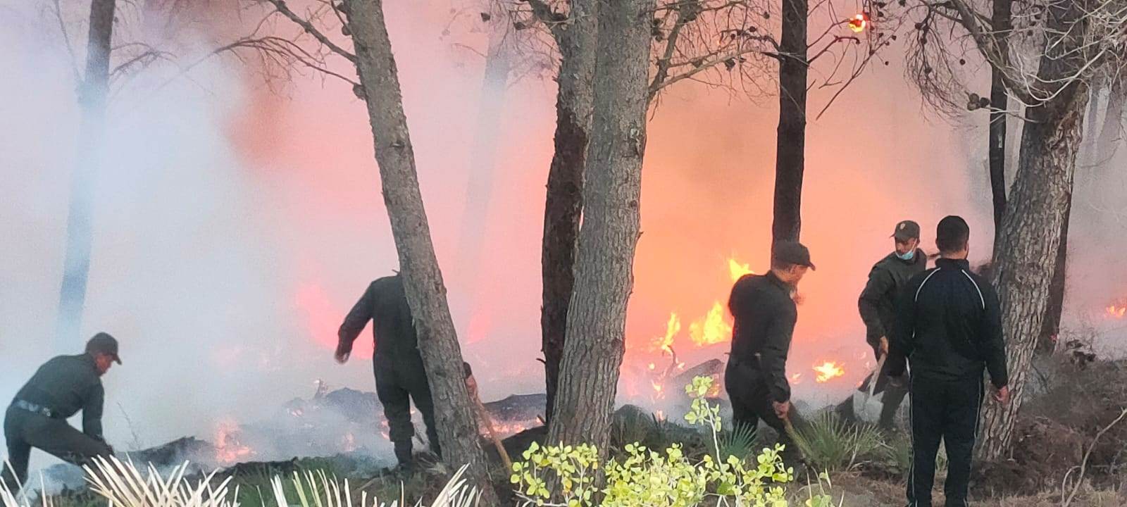 صور.. عناصر الوقاية المدنية يواصلون جهود إطفاء حريق كوروكو