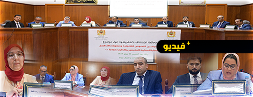استئنافية الناظور تنظم ندوة حول قضايا الأسرة الخاصة بأفراد الجالية استئنافية الناظور تنظم ندوة حول قضايا الأسرة الخاصة بأفراد الجالية