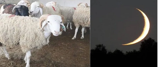 رسميا.. وزارة الأوقاف تعلن تاريخ عيد الأضحى بالمغرب رسميا.. وزارة الأوقاف تعلن تاريخ عيد الأضحى بالمغرب