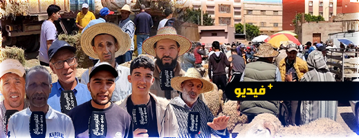 رغم وفرة العرض.. الغلاء يتسبب في ركود كبير بسوق الأضاحي بدار الكبداني رغم وفرة العرض.. الغلاء يتسبب في ركود كبير بسوق الأضاحي بدار الكبداني