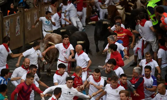 إطلاق الثيران في إسبانيا يسفر عن إصابة العشرات بجروح