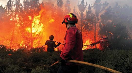 من ضمنها الناظور.. الكشف عن الأقاليم المعرضة لخطر اندلاع حرائق الغابات ابتداء من يوم غد