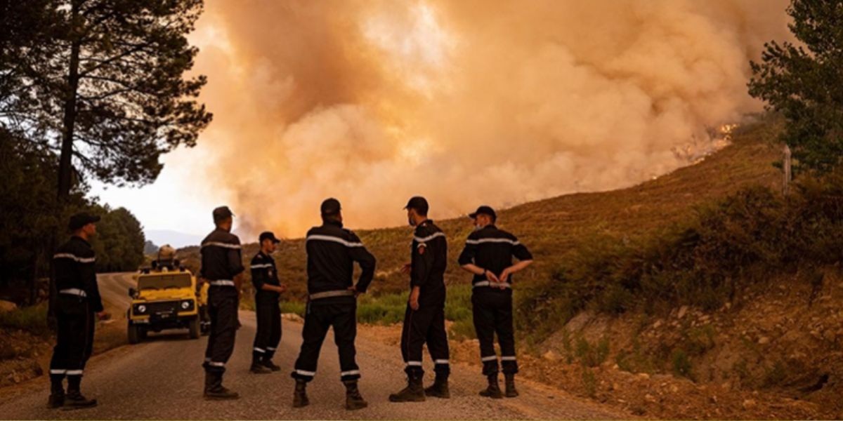 ضمنها الناظور..  وكالة الغابات تحدد المناطق المعرضة لخطر اندلاع الحرائق