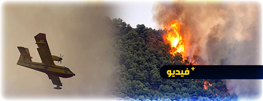 أطقم الإطفاء وطائرتي كنادير وتساقطات مطرية تتغلب على حريق غابة إفرني  أطقم الإطفاء وطائرتي كنادير وتساقطات مطرية تتغلب على حريق غابة إفرني