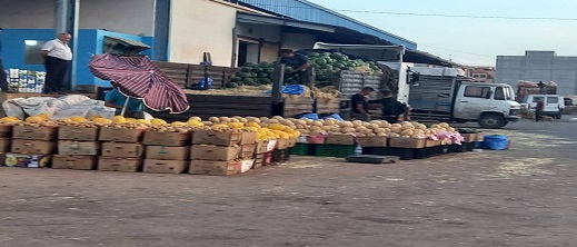 حرمان عائلة المقاوم حموتي الخيضر "الجندي الإفريقي" من الاستفادة من سوق الجملة بالناظور يثير التساؤلات