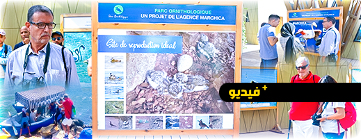 إطلاق جولات السياحة البيئية ومراقبة الطيور ببحيرة بوعرك (مارشيكا)