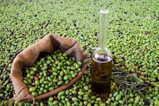 بعد نفاذها في أوروبا.. المغرب يوقف تصدير زيت الزيتون حتى لا يرتفع سعرها