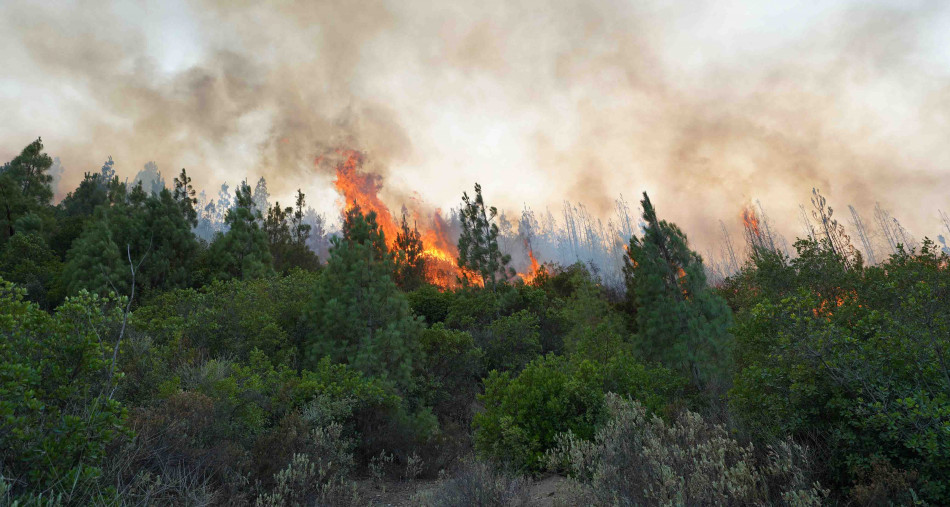الحسيمة.. حريق مهول يلتهم مساحات كبيرة بغابة مركز إيكاون