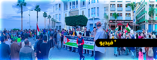 مسيرة احتجاجية في الناظور تنديدا بالعدوان الإسرائيلي على غزة