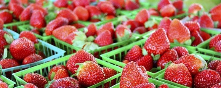 واردات فراولة مغربية تحمل فيروس "التهاب الكبد أ".. أونسا توضح