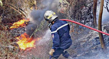 إلقاء القبض على مفتعل الحريق بالغابة المتواجدة نواحي الحسيمة