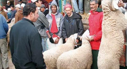 واش بصح.. صرف الأجور للموظفين 16 من هذا الشهر بمناسبة عيد الأضحى