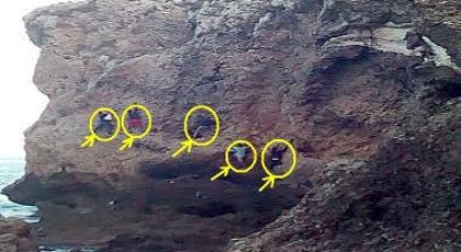 إعتقال أزيد من مئة قاصر بمليلية حاولوا التسلل عبر مرتفع صخري الى داخل احدى البواخر‎