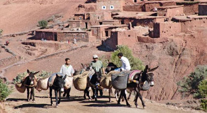 الجهوية المتقدمة في المغرب: اصلاح ترابي لا يخدم الهوية الجهوية