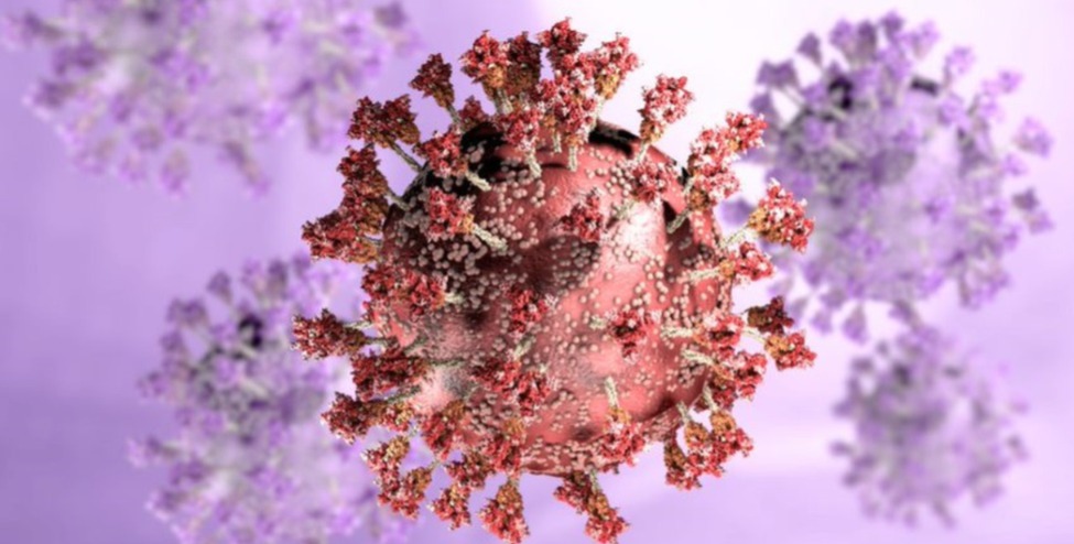 ماحقيقة فيروس الصين الجديد الذي أثار الفزع حول العالم؟ ماحقيقة فيروس الصين الجديد الذي أثار الفزع حول العالم؟