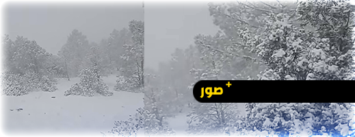 الزائر الأبيض يزين جبال شقران ومرتفعات الريف الزائر الأبيض يزين جبال شقران ومرتفعات الريف