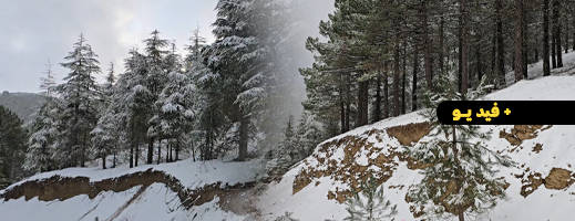 تساقطات ثلجية مهمة بشقران وبني عمارت وتيزي فري تساقطات ثلجية مهمة بشقران وبني عمارت وتيزي فري