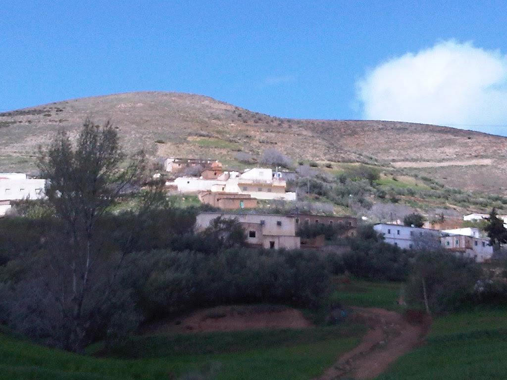 فلاحون يشتكون من عودة الخنزير البري لإتلاف مغروساتهم بجماعة إفرني‎