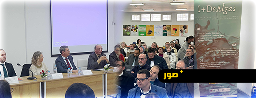 افتتاح مشروع I+DEALGAS مع تعاونية المستقبل للطحالب البحرية بدعم وشراكة مع مؤسسة نساء من أجل إفريقيا افتتاح مشروع I+DEALGAS مع تعاونية المستقبل للطحالب البحرية بدعم وشراكة مع مؤسسة نساء من أجل إفريقيا