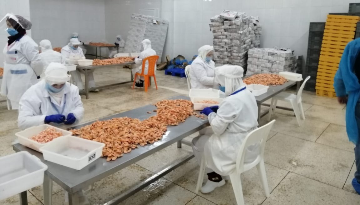 "زكامين" لتنقية القمرون بالناظور توقع شراكة إسبانية هولندية