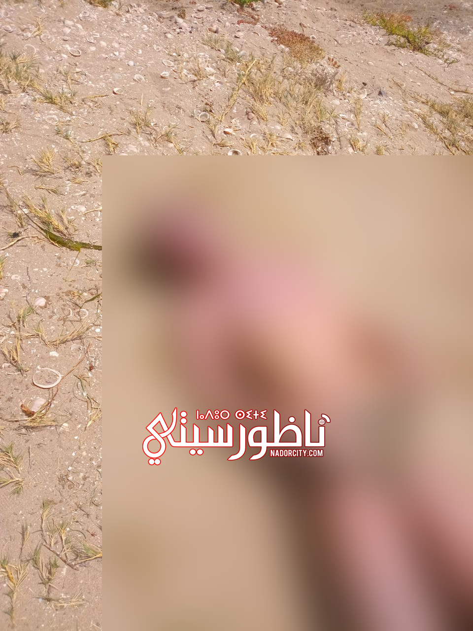  مأساة بالناظور.. العثور على طفل مصاب بالتوحد جثة هامدة في البحر