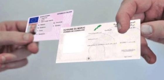الجالية بألمانيا تستنكر رفض الاعتراف برخصة السياقة المغربية.. ومطالب بتدخل رسمي