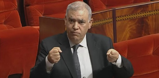 لفتيت: الدستور يكفل للجالية حق الترشح والتصويت والأحزاب مطالبة بتمثيلهم بفعالية