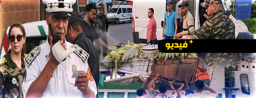 حملة واسعة لتحرير الملك العمومي تستهدف العربات المجرورة بالناظور