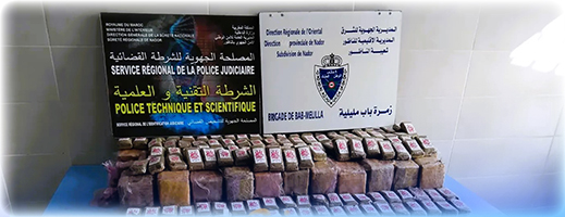 إحباط تهريب كمية من الشيرا بمعبر باب مليلية وتوقيف إسباني متورط في العملية