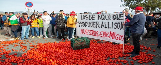 الطماطم المغربية تهدد الإنتاج الإسباني.. مزارعو إسبانيا يطالبون أوروبا بتحرك عاجل الطماطم المغربية تهدد الإنتاج الإسباني.. مزارعو إسبانيا يطالبون أوروبا بتحرك عاجل