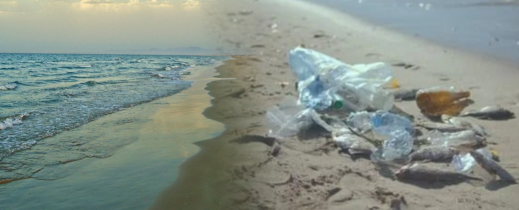 الأزبال تغزو شاطئ بوقانة في عز الصيف وتُغضب المصطافين