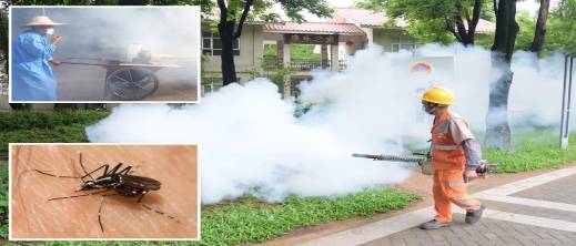 بعد تفشيه في الصين.. المغرب خال من "شيكونغونيا".. وخبير فيروسات يطمئن المواطنين بعد تفشيه في الصين.. المغرب خال من "شيكونغونيا".. وخبير فيروسات يطمئن المواطنين