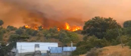 إيقاف شخص يشتبه في إشعاله حريقا غابويا خطيرا بشفشاون إيقاف شخص يشتبه في إشعاله حريقا غابويا خطيرا بشفشاون