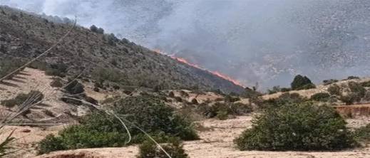 خرائط تنبؤ جديدة لرصد أخطر بؤر الحرائق الغابوية بالمغرب.. هذا وضع غابات الناظور، الحسيمة والدريوش