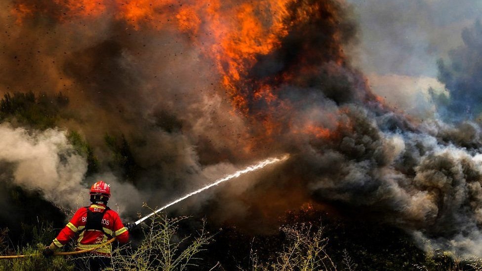 إسبانيا: 42 اعتقالا و127 تحقيقاً بسبب حرائق الغابات الصيفية