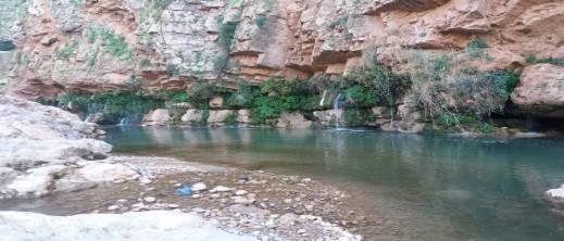 مصرع شاب وإصابة فتاة بسبب انهيار صخري تسببت به قرود