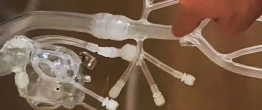 سابقة علمية.. الدكتور المغربي يوسف العزوزي يخترع أول جهاز لتوجيه الخلايا داخل الدم سابقة علمية.. الدكتور المغربي يوسف العزوزي يخترع أول جهاز لتوجيه الخلايا داخل الدم