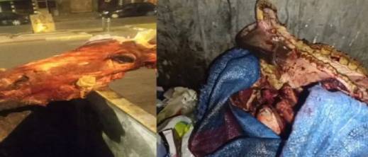 فضيحة غذائية جديدة.. العثور على رأس وعظام حيوان يثير تساؤلات حول الأمن الغذائي فضيحة غذائية جديدة.. العثور على رأس وعظام حيوان يثير تساؤلات حول الأمن الغذائي