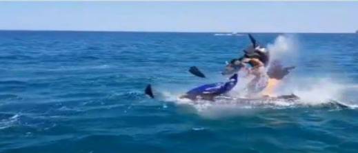 الصورة تعبيرية الصورة تعبيرية