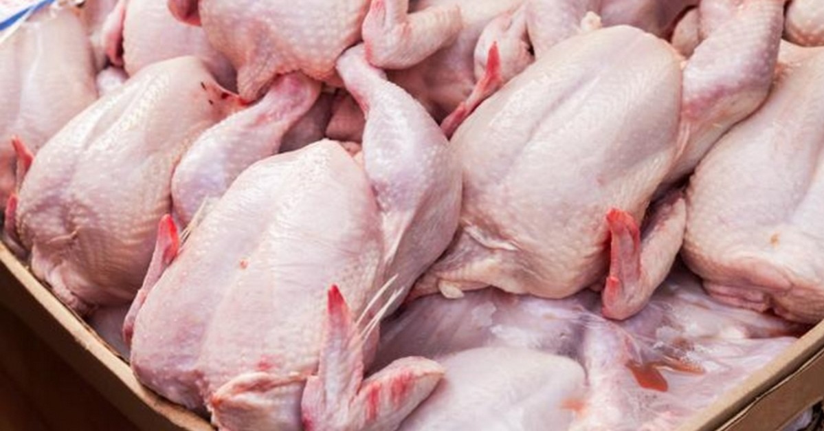 موجة حر ووساطة ترفعان أسعار الدواجن في أسواق المملكة موجة حر ووساطة ترفعان أسعار الدواجن في أسواق المملكة