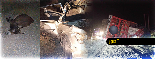 مقتل شخصين في حادثة سير خطيرة سببها حمار مقتل شخصين في حادثة سير خطيرة سببها حمار