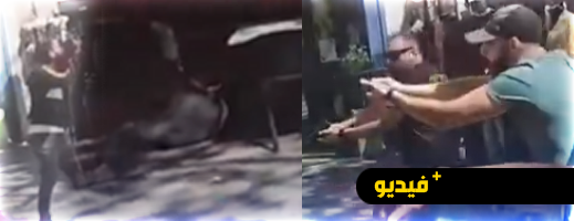 مارسيليا.. 4 إصابات في هجوم بسكين ومقتل المنفذ على يد الشرطة