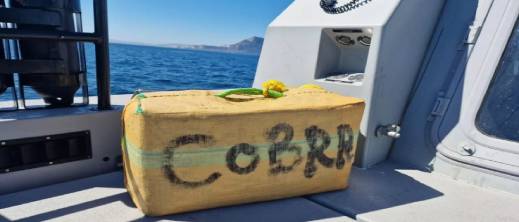 مطاردات بحرية تنتهي بانتشال 40 كيلوغراما من الحشيش مطاردات بحرية تنتهي بانتشال 40 كيلوغراما من الحشيش